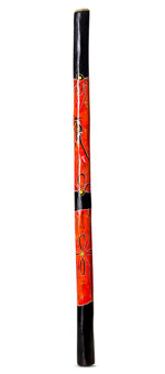 Suzanne Gaughan Didgeridoo (JW565)